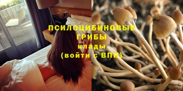 эйфоретик Белокуриха