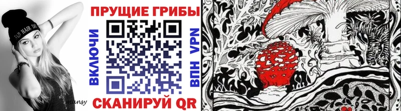 Купить где  Ершов  Галлюциногенные грибы GOLDEN TEACHER 